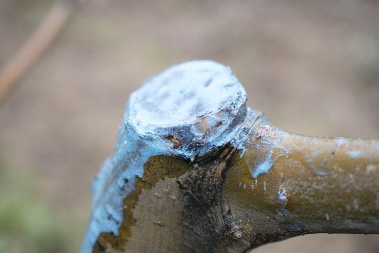 A quoi sert-il - Application liquide bordelaise en jardinage de printemps