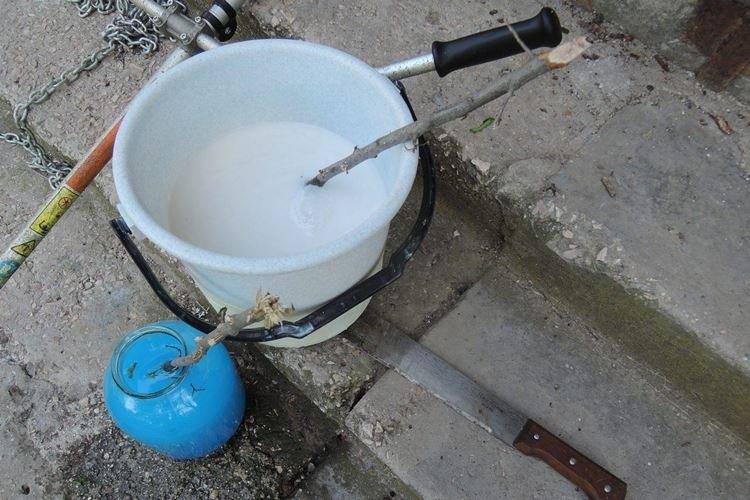 Comment préparer une solution - Application liquide bordelaise en jardinage de printemps