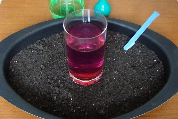 Permanganate de potassium - Comment désinfecter le sol avant la plantation