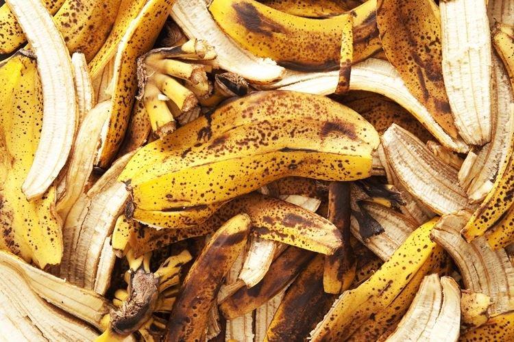 Pelure de banane - Comment nourrir les groseilles au printemps