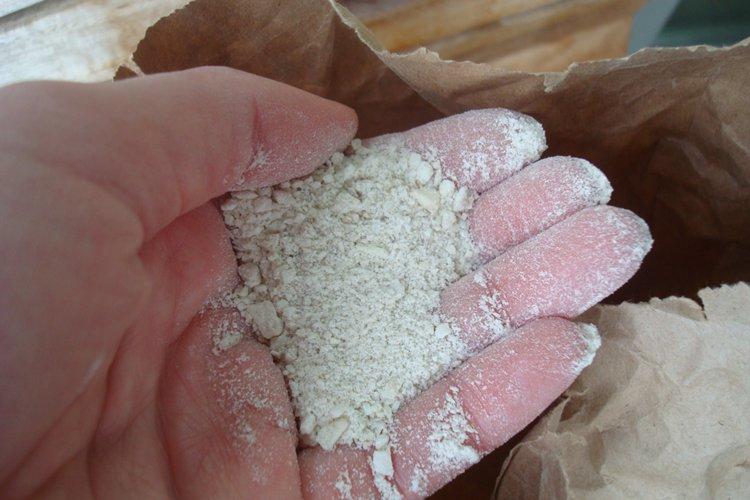 Farine d'os - Comment nourrir un pommier au printemps