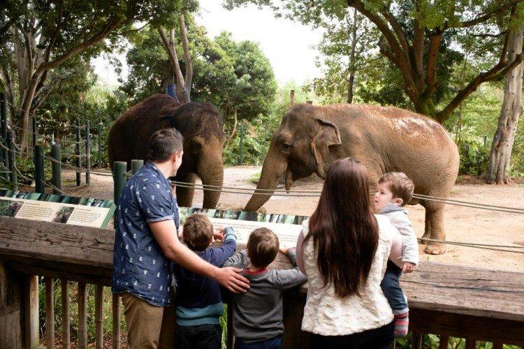 Aller au zoo - Que donner à un garçon pendant 5 ans