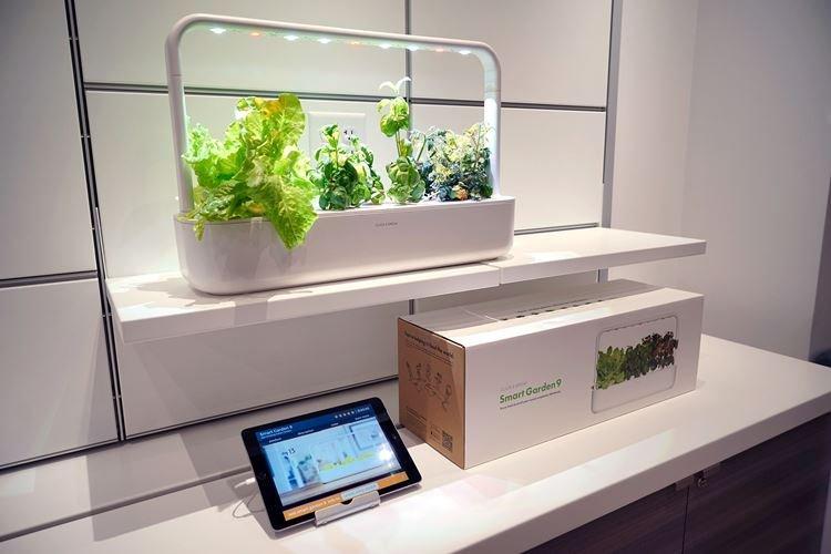 Smart Garden - Quoi offrir à maman pour son anniversaire de sa fille
