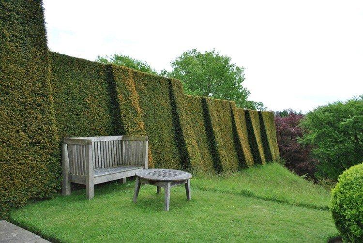 If - Que planter le long de la clôture