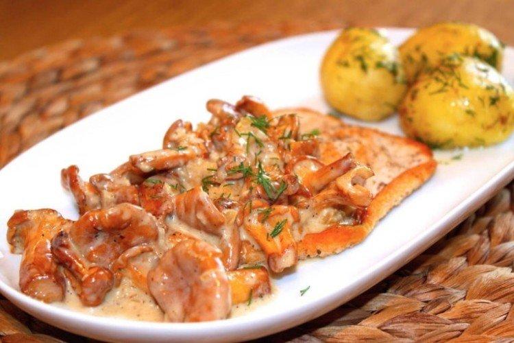 Filet de dinde aux girolles - Que cuisiner à partir de recettes de filet de dinde