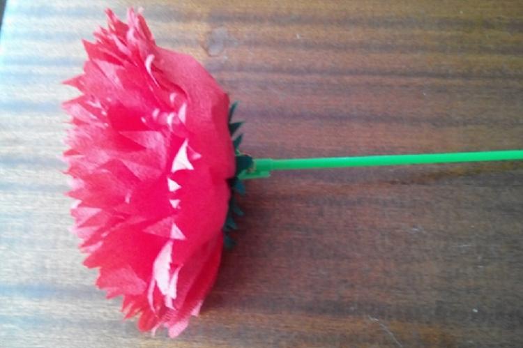 Oeillet - Fleurs de serviette DIY