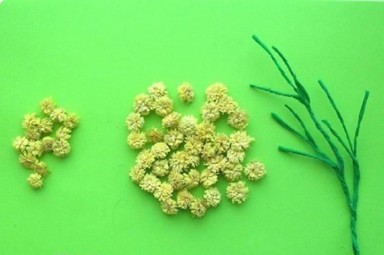 Brin de mimosa - Fleurs de serviette DIY