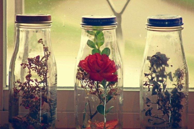 Fleurs dans une bouteille - Décoration de bouteille DIY