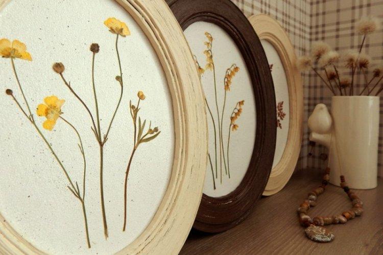 Herbier à l'intérieur - Décoration de chambre DIY