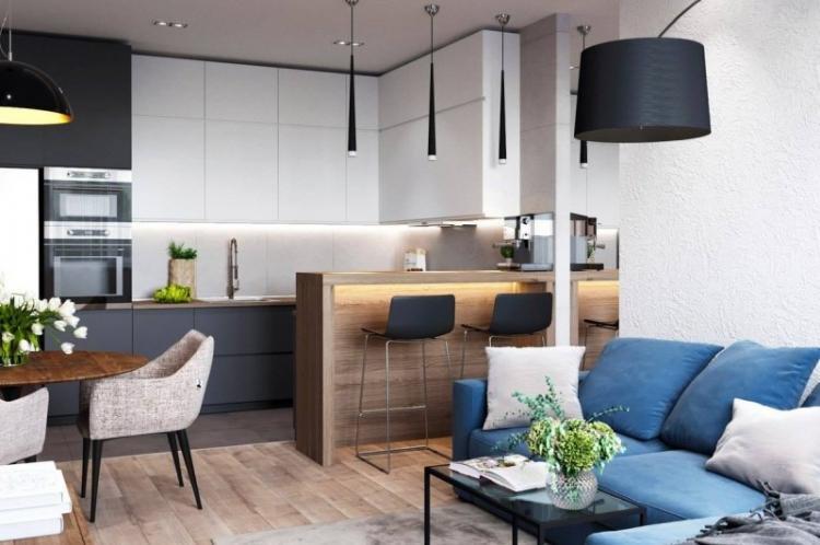 Comment choisir les meubles et les appareils électroménagers - Conception cuisine-salon 20 m².