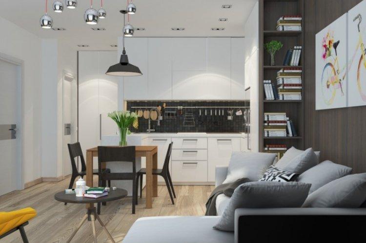 Cuisine-séjour 20 m² - Photo de décoration d'intérieur