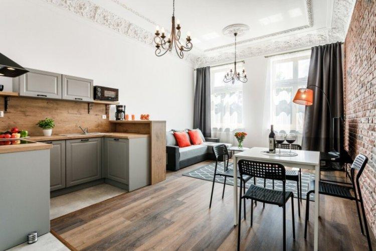 Cuisine-séjour 20 m² - Photo de décoration d'intérieur