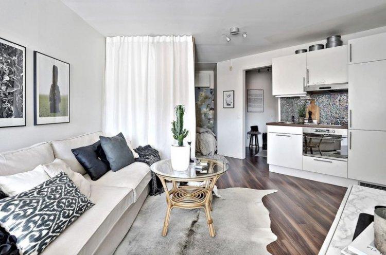 Cuisine-séjour 20 m² - Photo de décoration d'intérieur