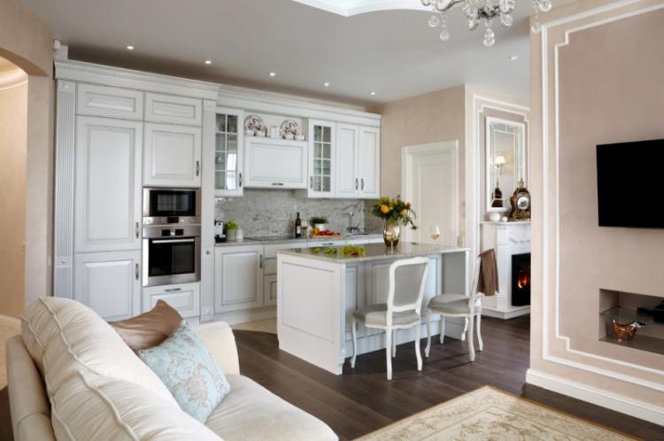 Conception de cuisine-salon dans un style classique