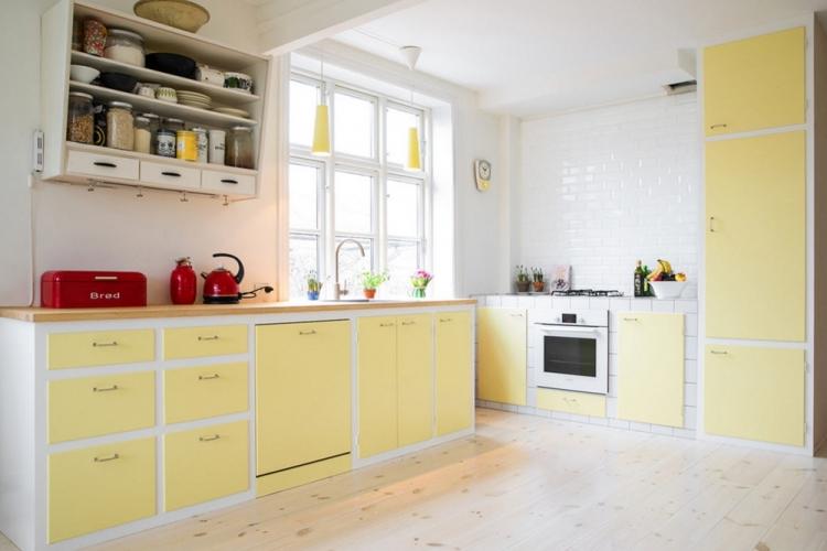 Design d'intérieur de cuisine de style scandinave - photo