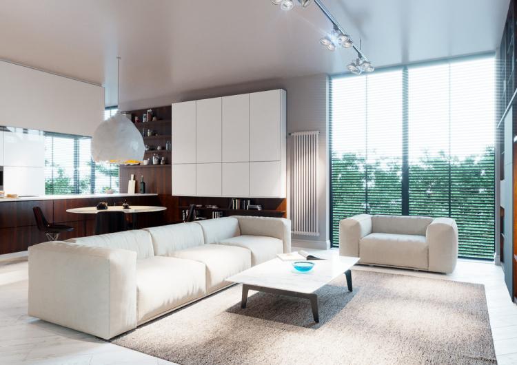 Projet de conception d'appartement de ciel blanc