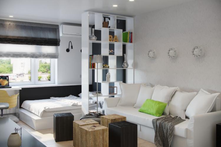 Salon combiné avec chambre à coucher - photo de design d'intérieur