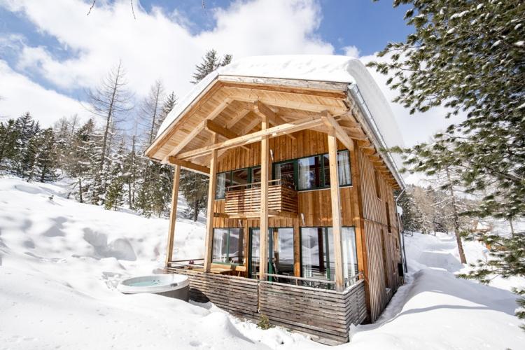 Maisons de style chalet - projets et photos