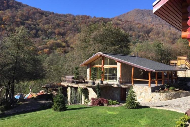 Maisons de style chalet - projets et photos