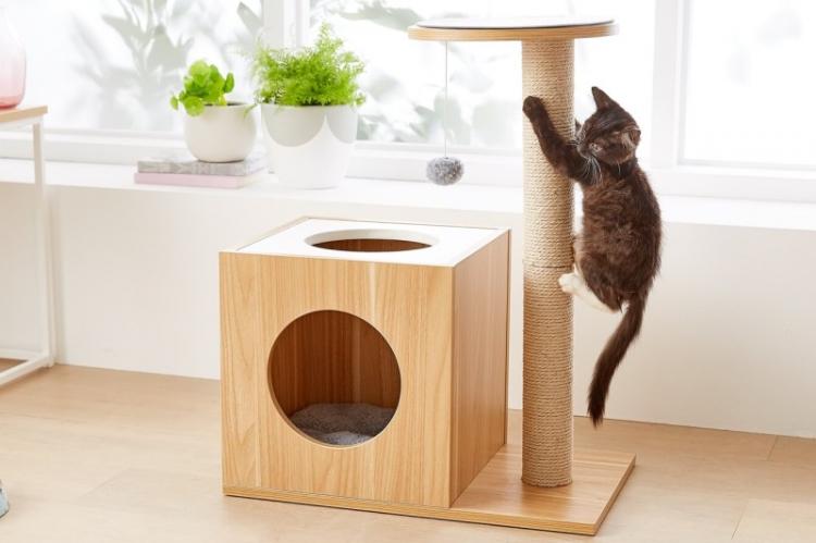 Nous fabriquons une maison en contreplaqué - Maison de chat bricolage