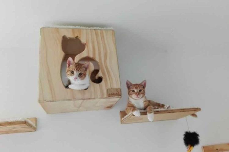 Maison de chat bricolage - photos et idées