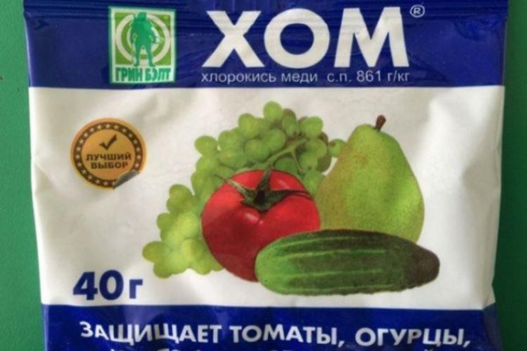 HOM - Comment traiter les tomates du mildiou