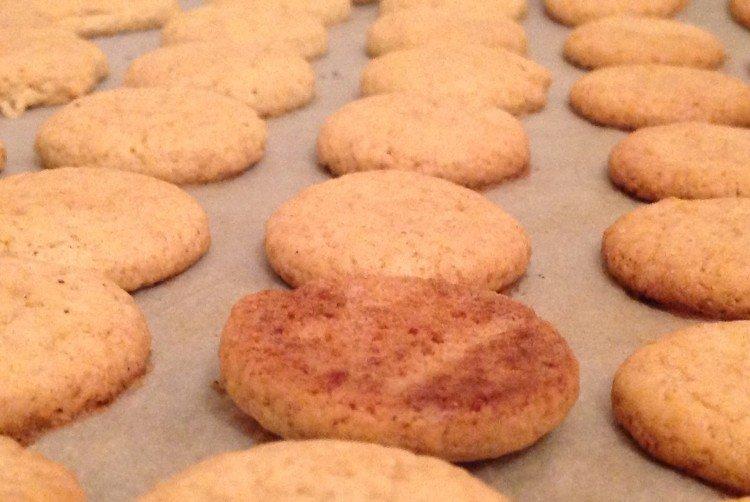 Biscuits maigres en vrac