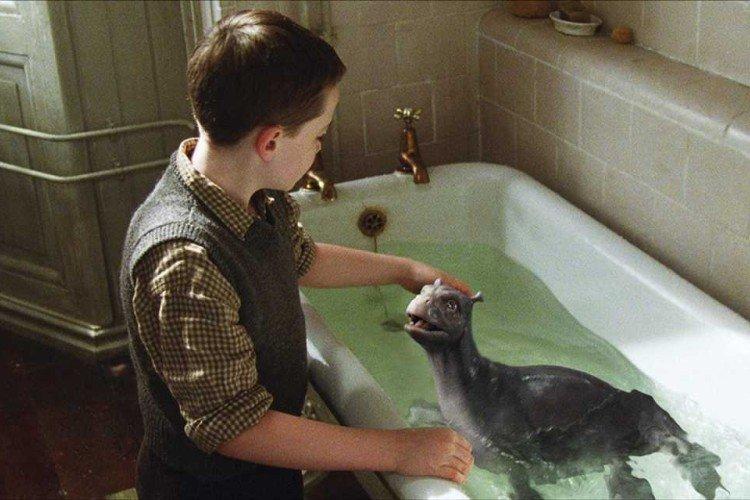 Mon dinosaure de la maison (2007)