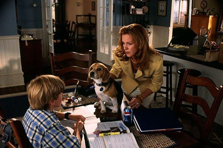 Chats contre chiens (2001)