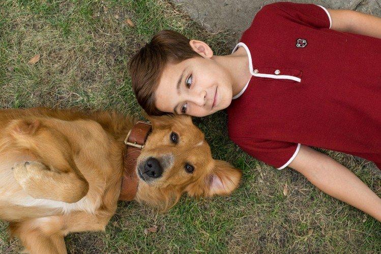 Une vie de chien (2017)