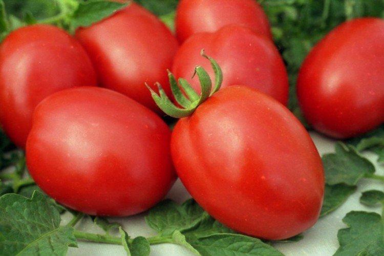 Conserverie de Barnaoul