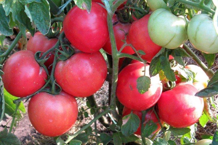 Visiblement invisible