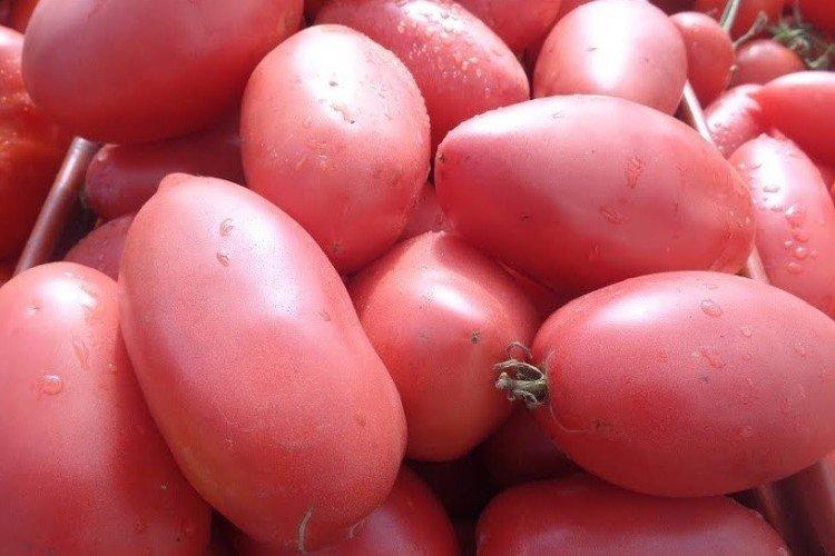 Petrosha le jardinier