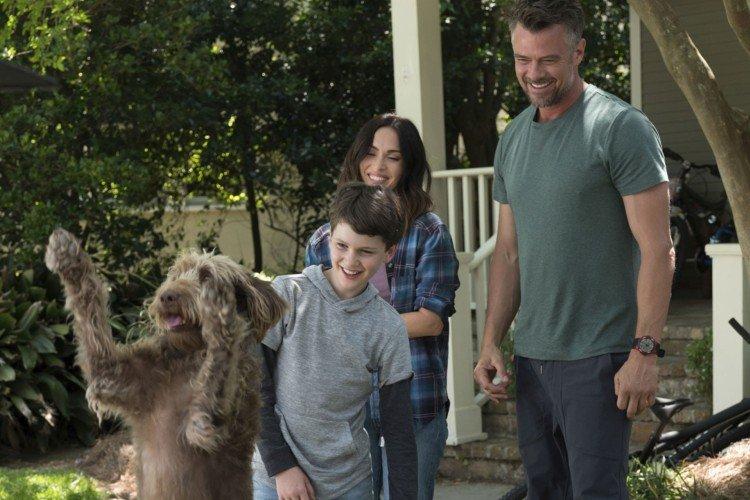 Pensez comme un chien (2020)