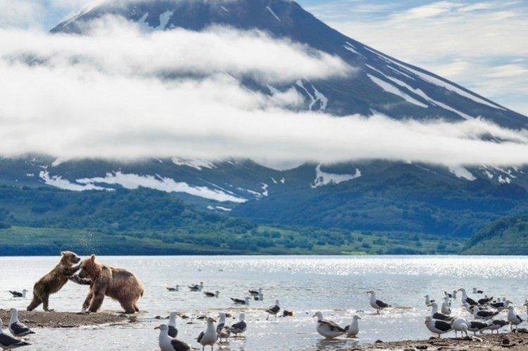 Planète idéale (2021)