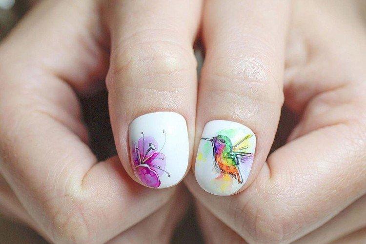 Dessins à l'aquarelle