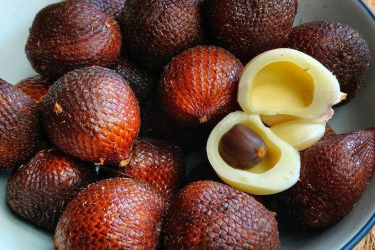 Hareng de la Baltique