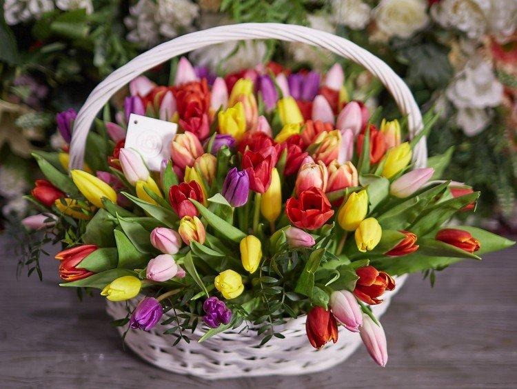 Bouquets de tulipes