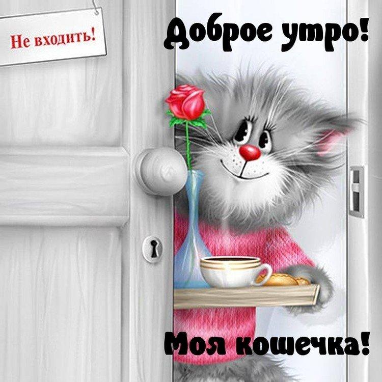 Les photos les plus cool Bonjour