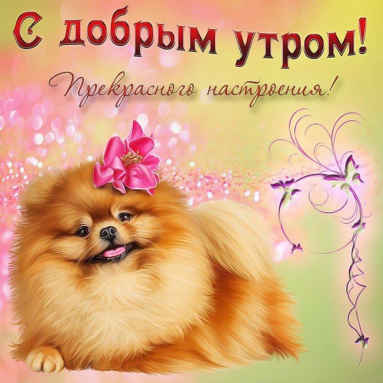 Les photos les plus cool Bonjour