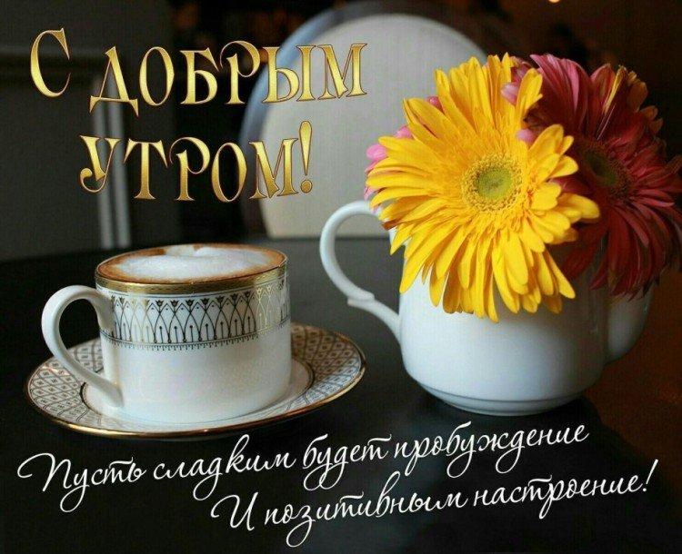 Photos Bonjour avec des voeux positifs