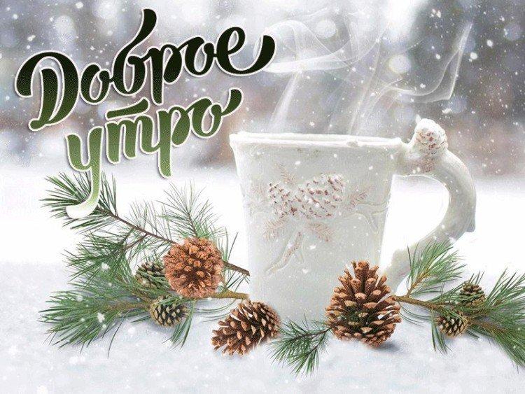 Bonjour photos d'hiver