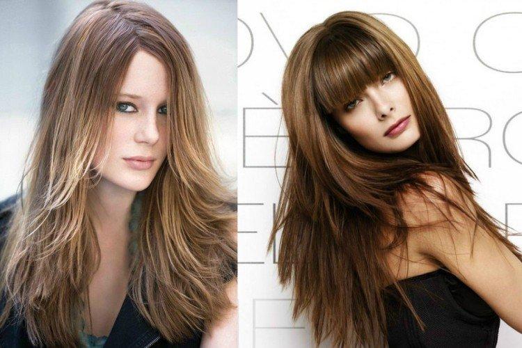 Échelle avec de grandes plumes