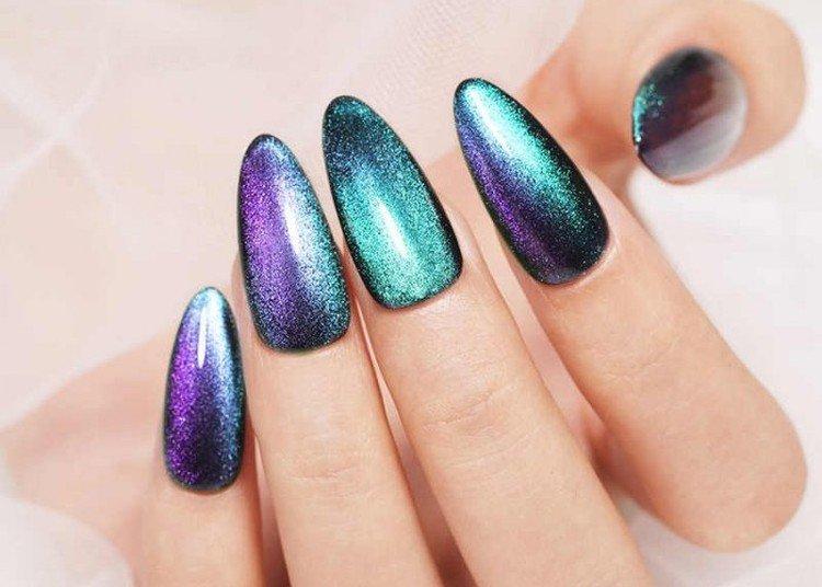 Oeil de chat et caméléon