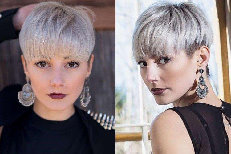 Pixie bob avec une frange droite