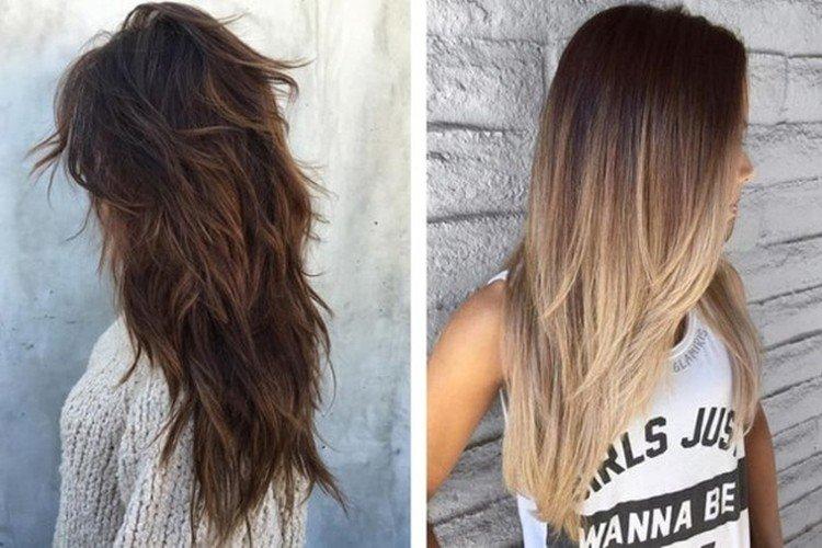 Queue de renard avec éclaircie