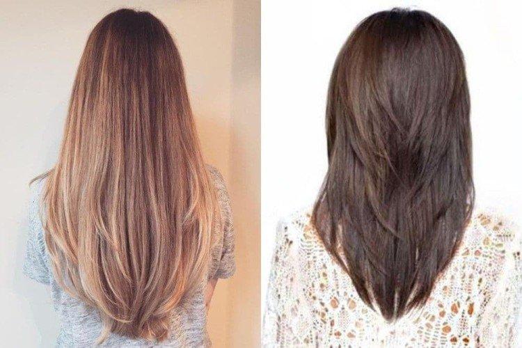 Queue de renard avec une échelle