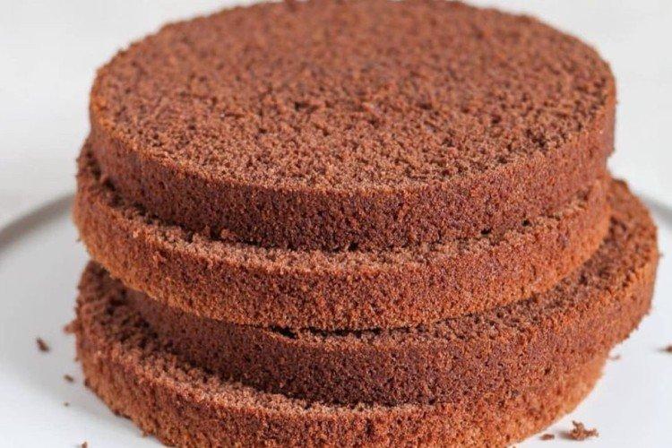 Gâteau éponge au chocolat à l'huile végétale