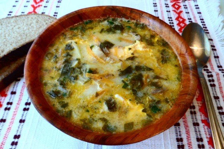 Soupe d'oseille au fromage