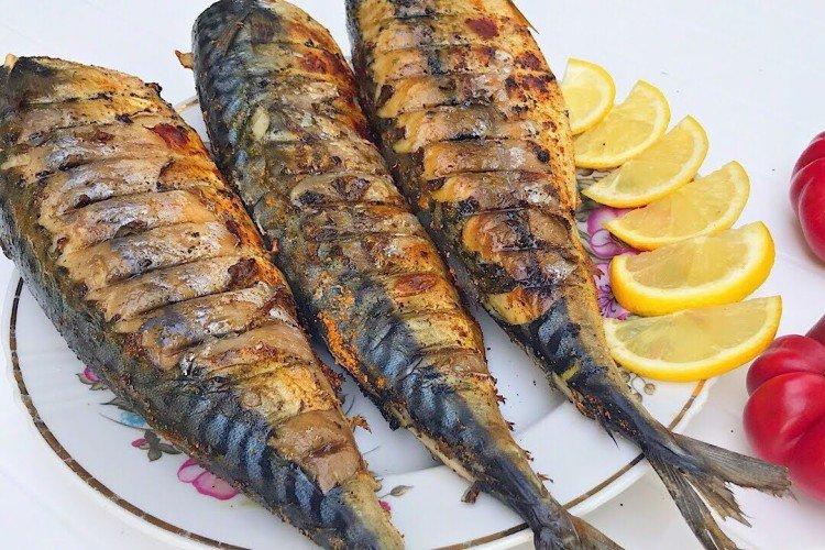 Maquereau à la mayonnaise